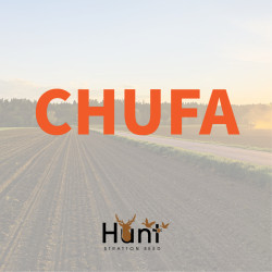 Chufa.jpg