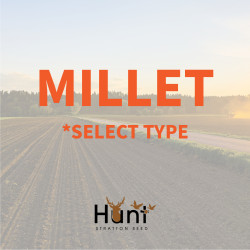 Millet.jpg