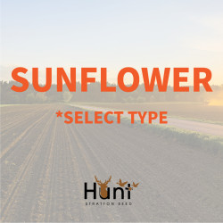 Sunflower.jpg