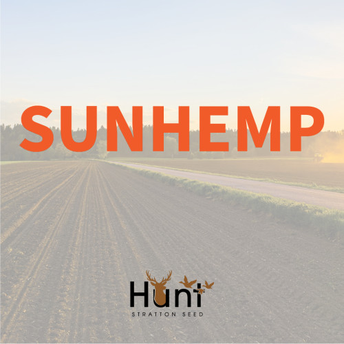 Sunhemp.jpg