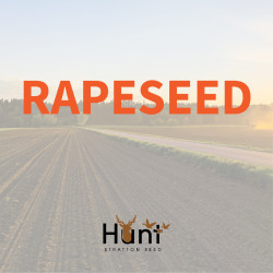 Rapeseed.jpg