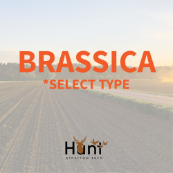 Brassica.jpg