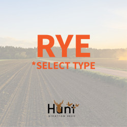 Rye.jpg