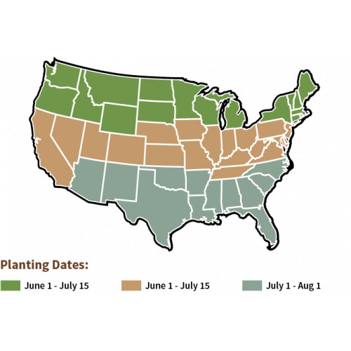 plantingmap-quick6-24207.png