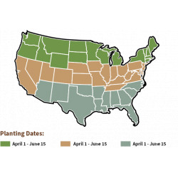 bonafide-planting-map-75080.png